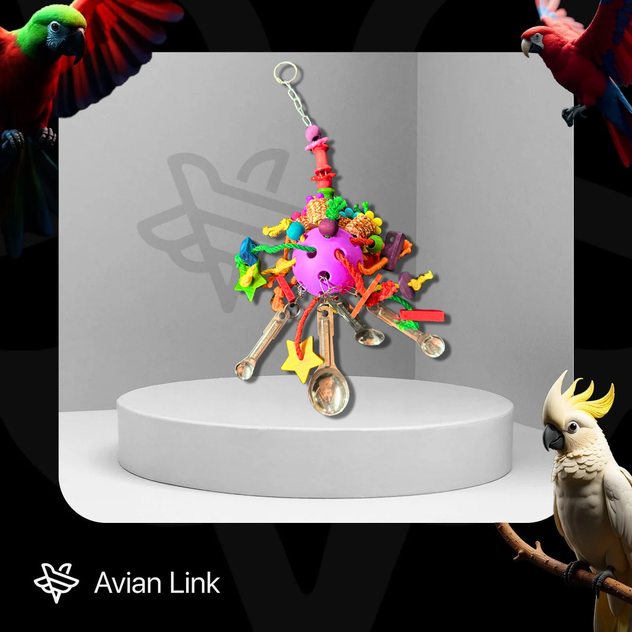 Big bird Foraging Toy - Pacifier Star Cup #1-05