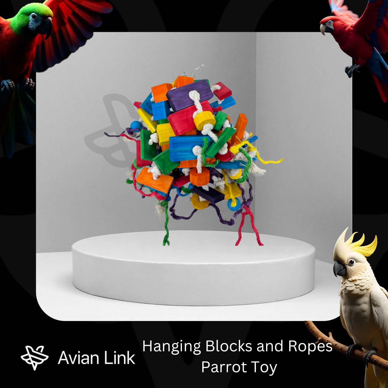 Hanging Blocks and Ropes Parrot Toy #3-25