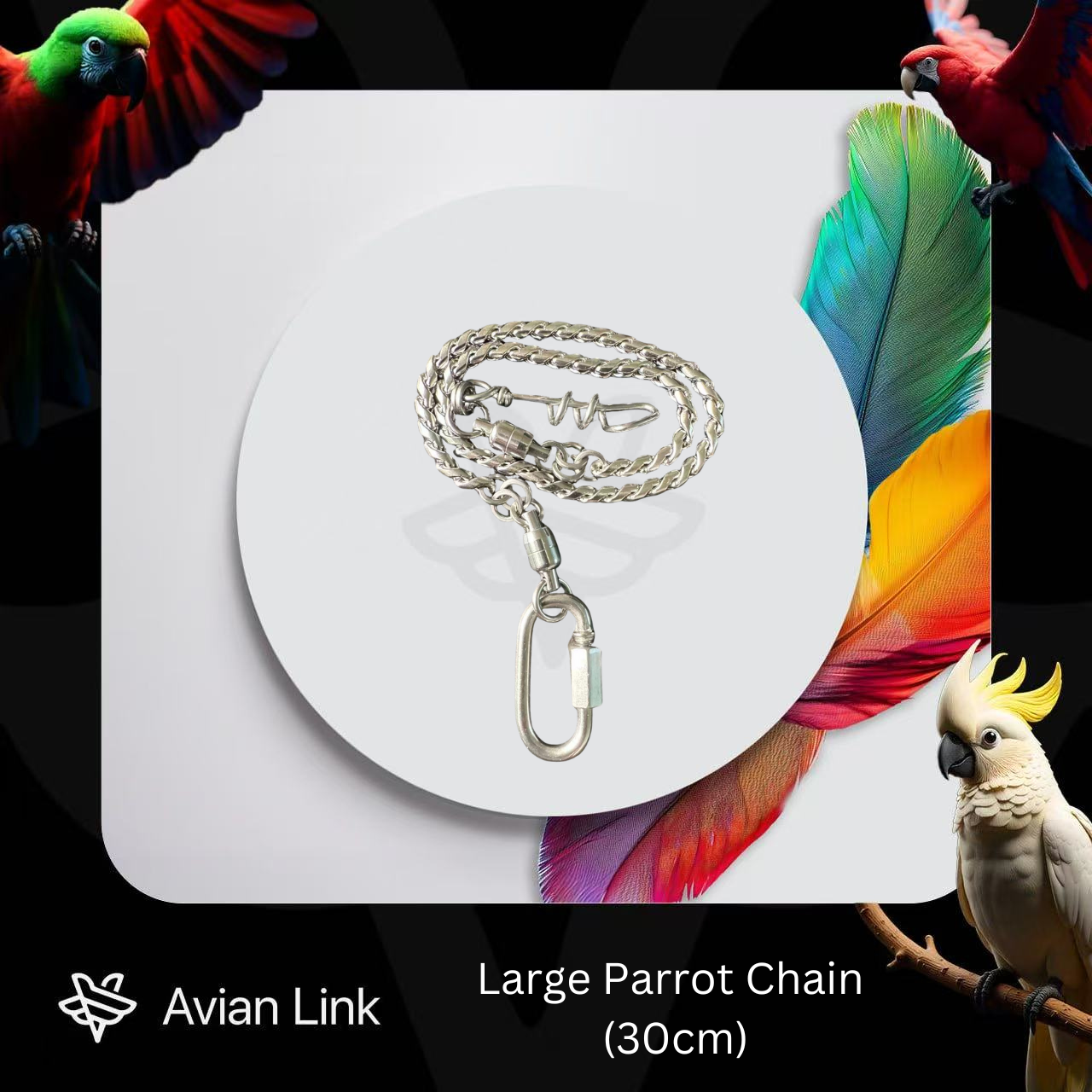 Large Parrot Chain (30cm)