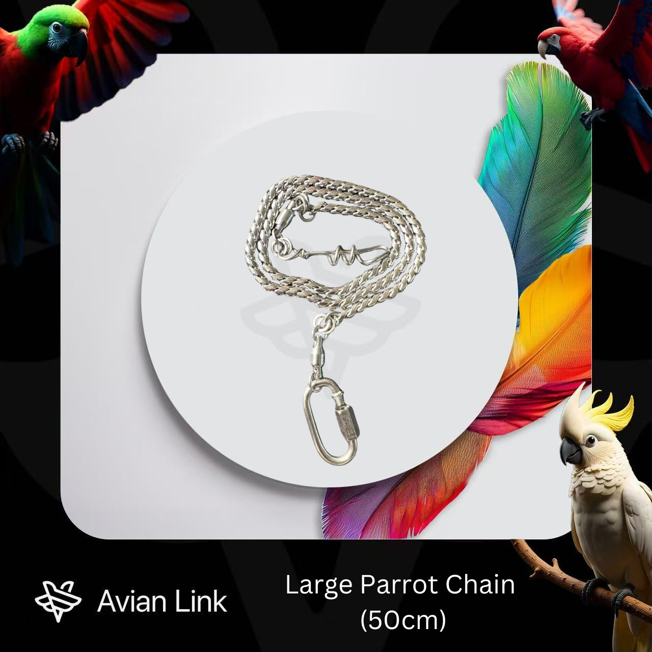Large Parrot Chain (50cm)