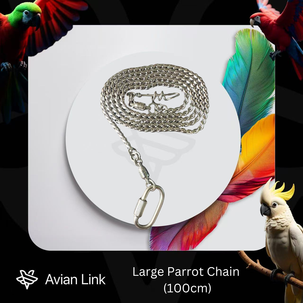 Large Parrot Chain (100cm)