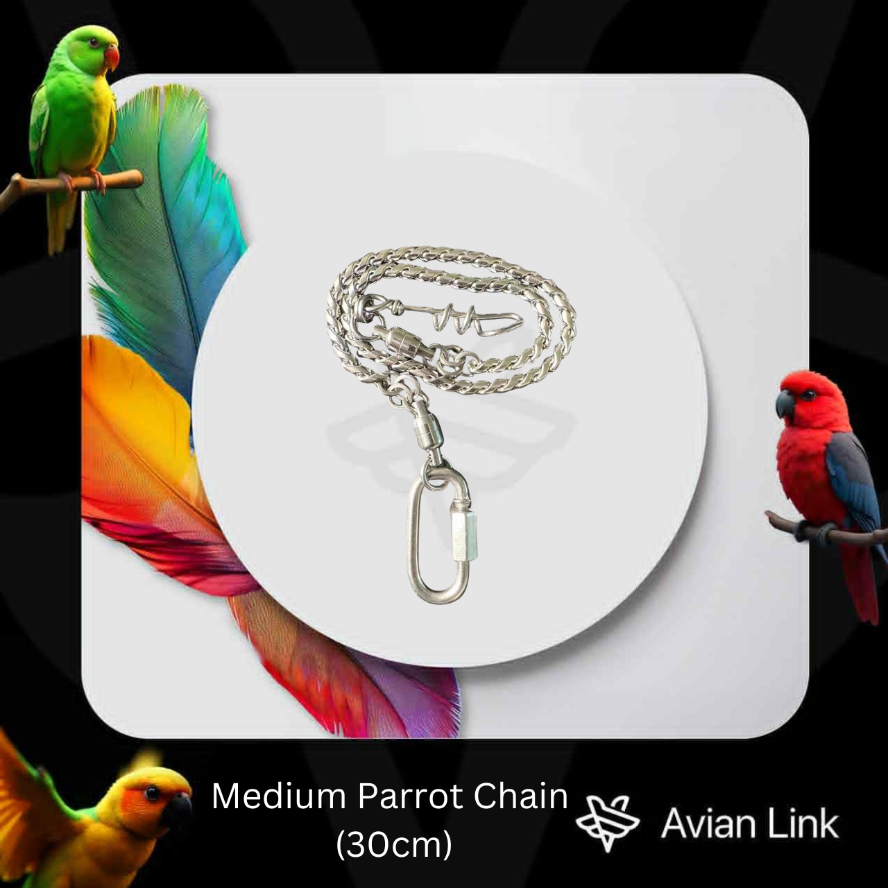 Medium Parrot Chain (30cm)