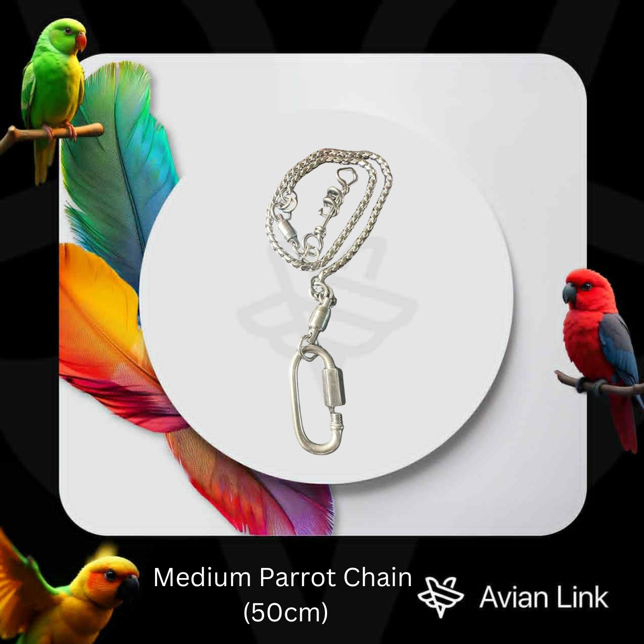 Medium Parrot Chain (50cm)