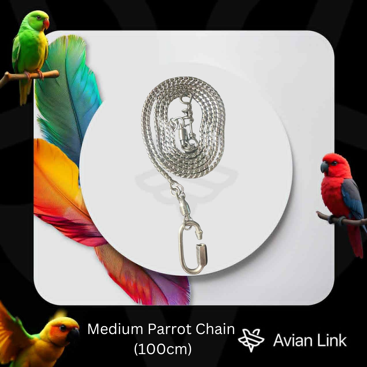 Medium Parrot Chain (100cm)