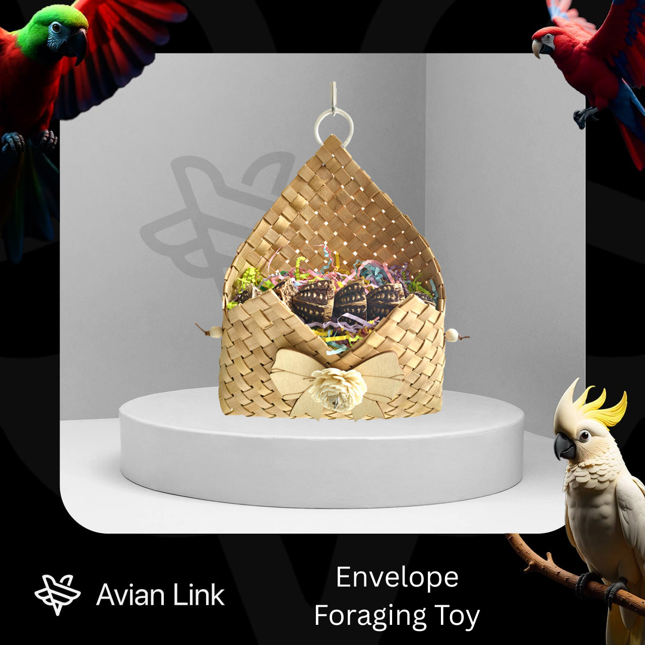 Big Bird Foraging Toy - Envelope #2-05