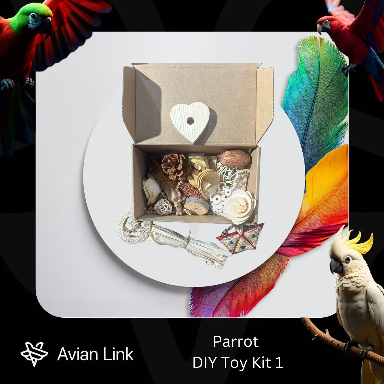 Big bird foraging toy - DIY Toy Kit #1-28