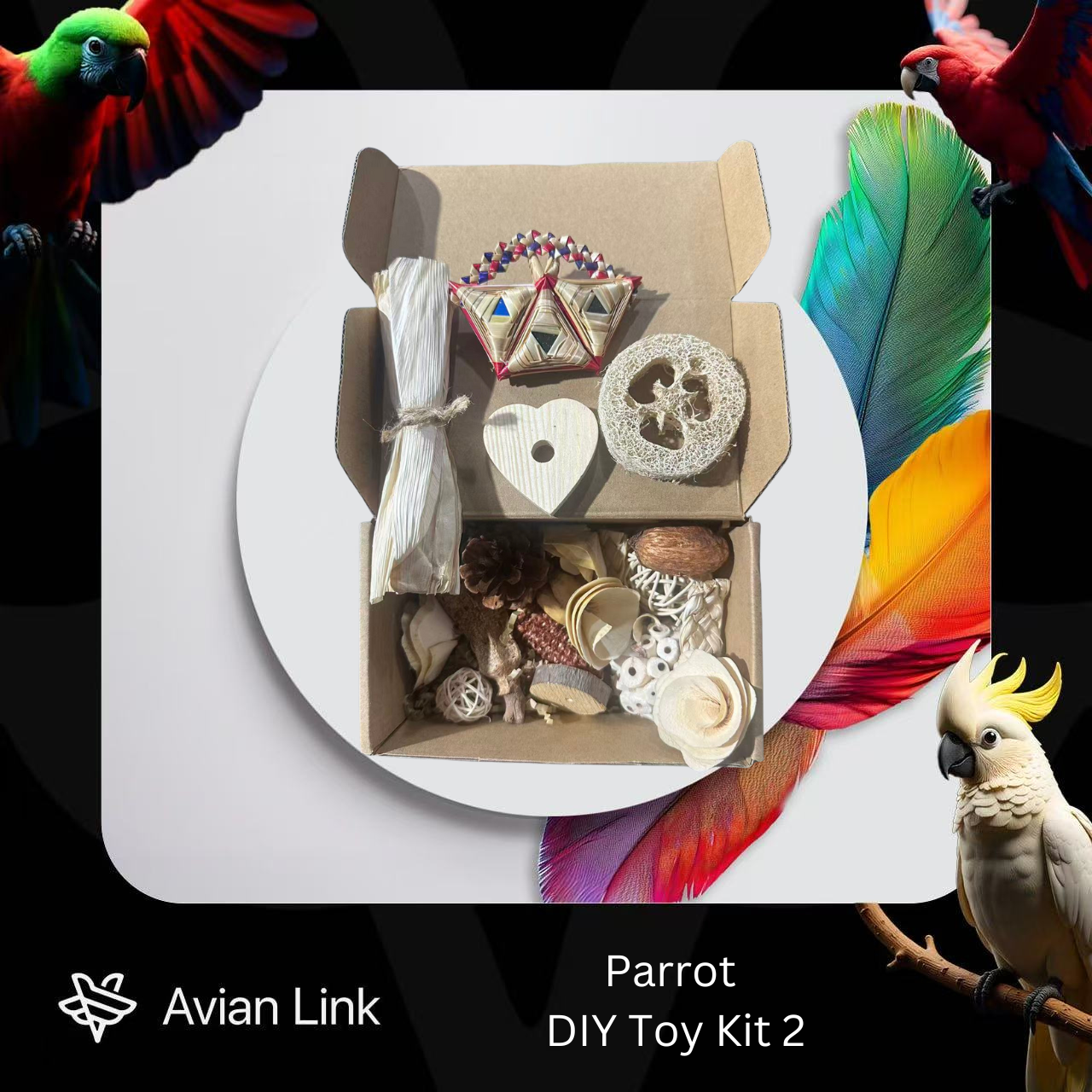 Big bird foraging toy - DIY Toy Kit 2 #1-29