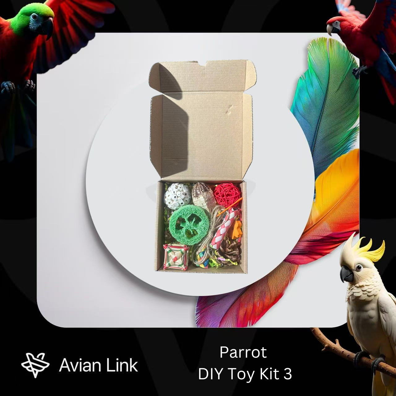 Big bird foraging toy - DIY Toy Kit 3 #1-30