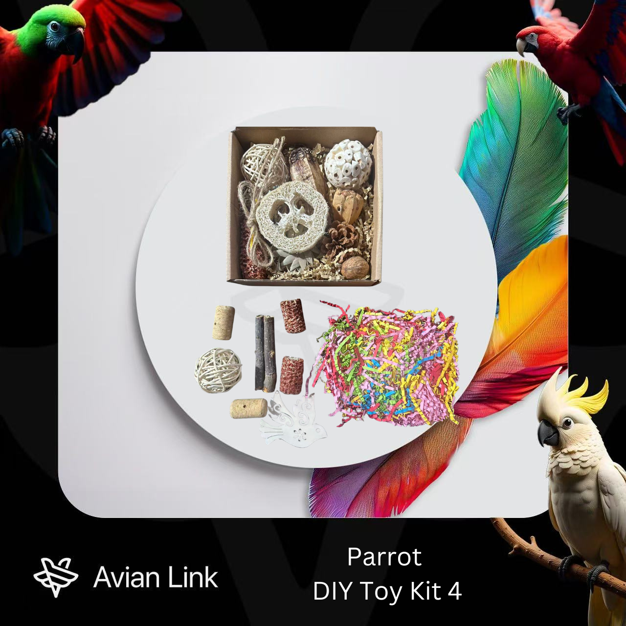 Big bird foraging toy - DIY Toy Kit 4 #1-31