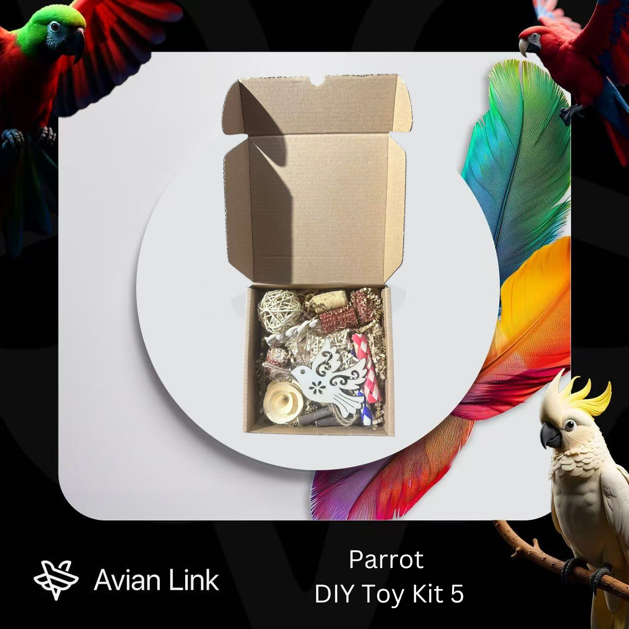 Big bird foraging toy - DIY Toy Kit 5 #1-32