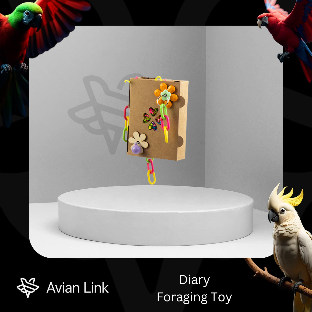 Big Bird Foraging Toy - Diary #2-42