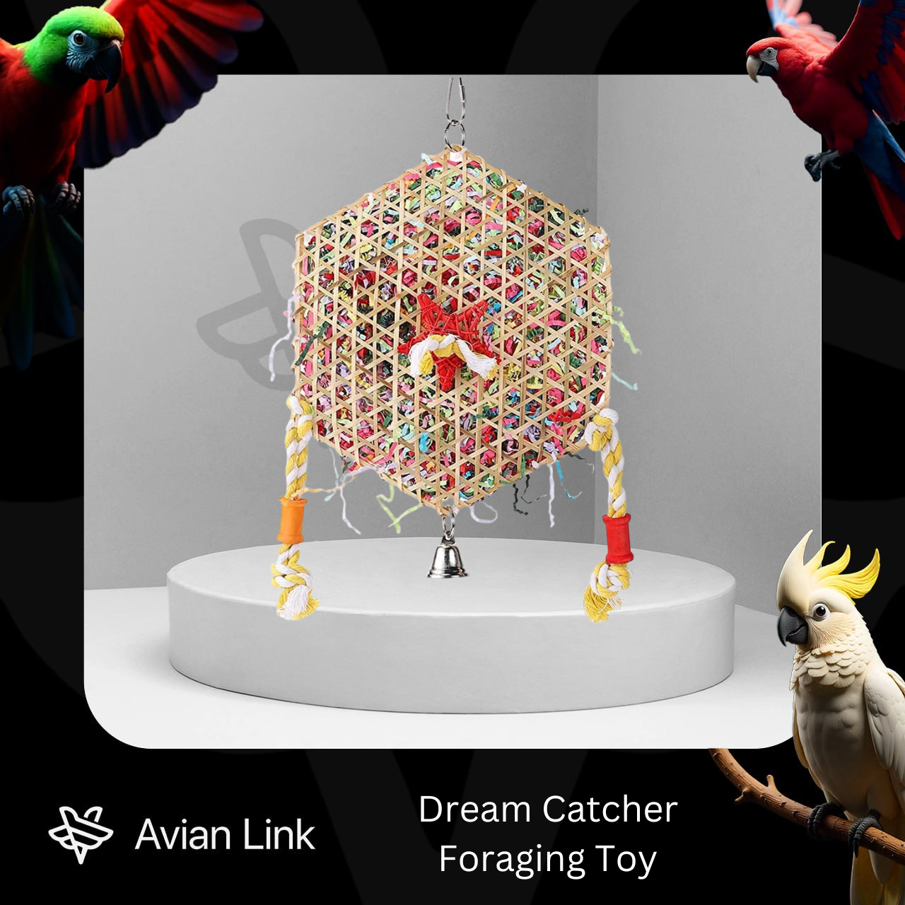 Big Bird Foraging Toy - Dream Catcher #2-47