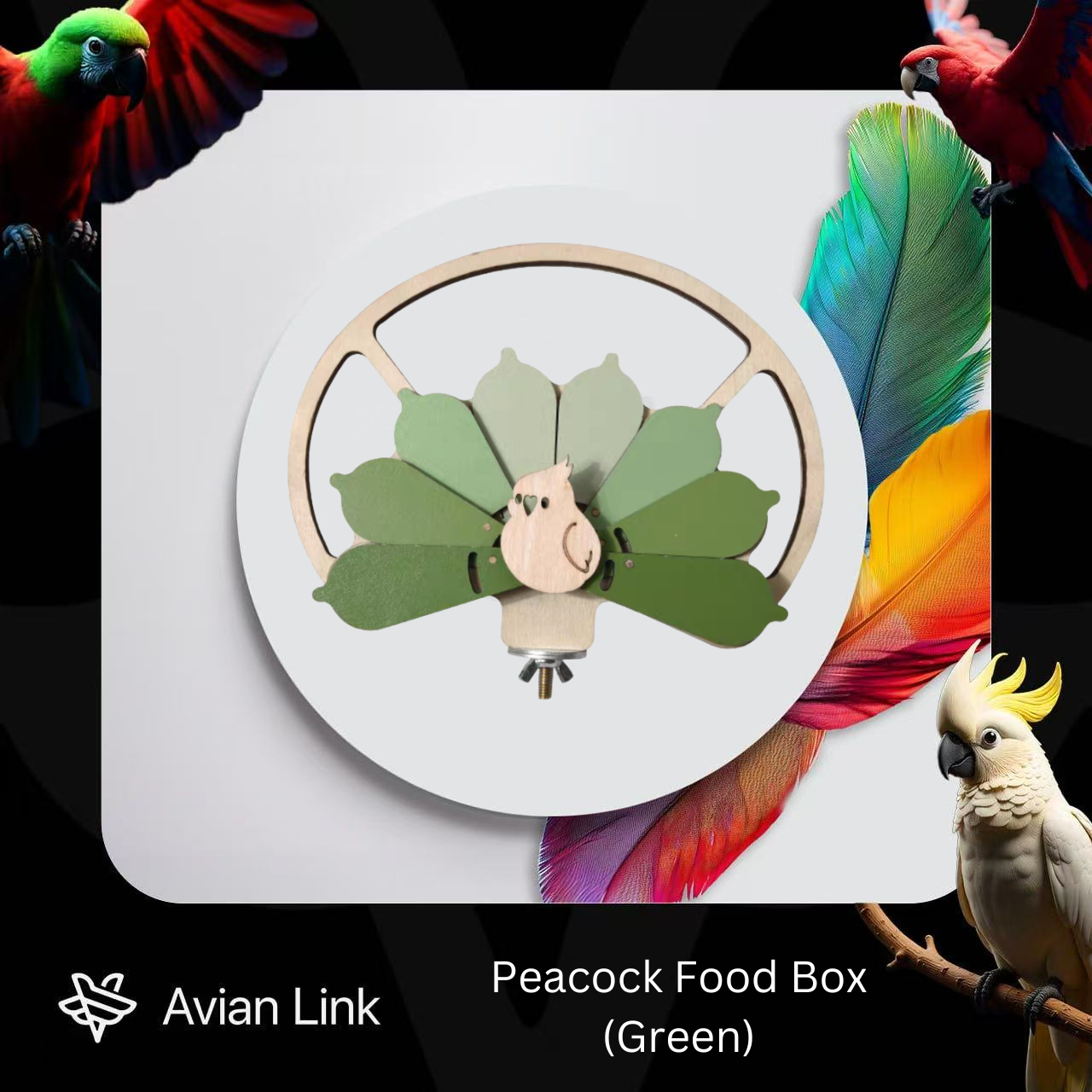 Big Bird Accessories - Peacock Food Box (Green) #2-56