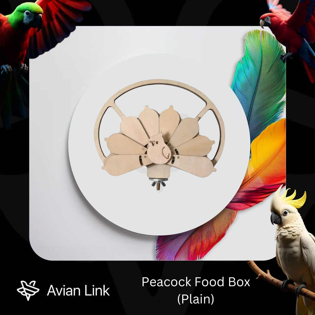 Big Bird Accessories - Peacock Food Box (Plain) #2-57